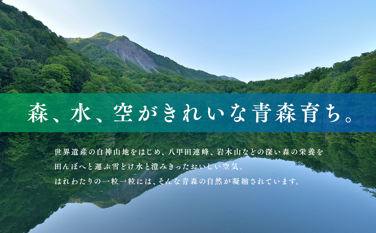 令和7年産 はれわたり10kg