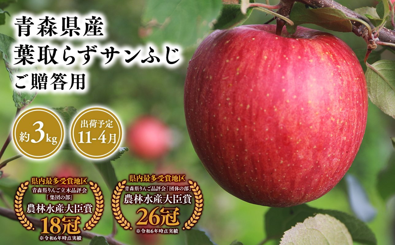 2025年産１１月〜４月発送　贈答用葉とらずサンふじ3ｋｇ　【そと川りんご園・１１月・１２月・１月・２月・３月・４月・青森県産・平川市・りんご・葉とらずサンふじ・3ｋｇ・贈答用】