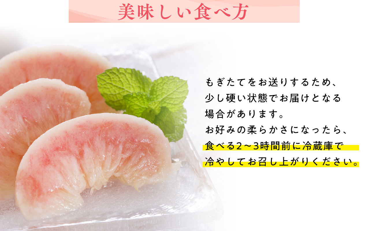 先行予約≪8月～9月発送予定≫  品種お任せ 平川市産 白桃 約3kg 【青森県 平川市 田中農園】フルーツ 果物 桃 もも モモ 白桃 ピーチ はくとう お取り寄せ 先行予約 旬 おまかせ 