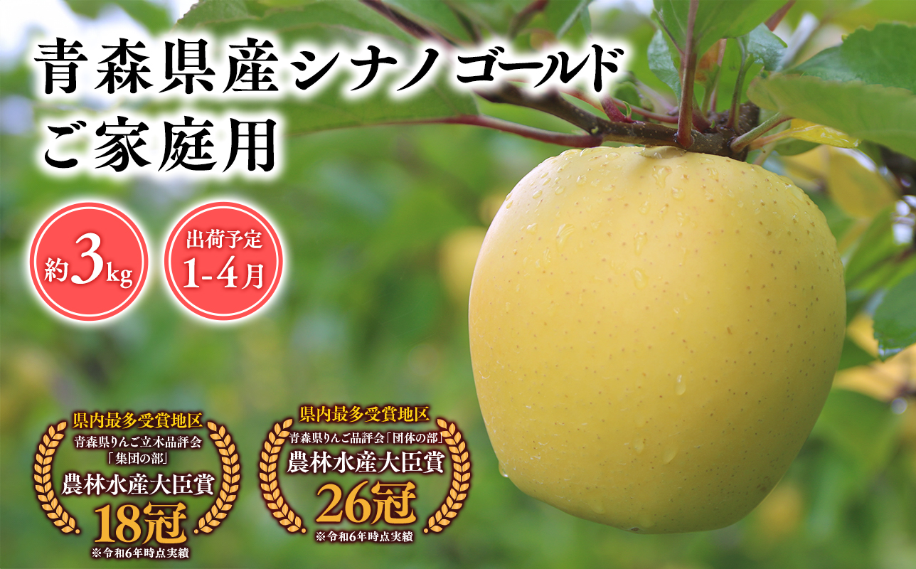 2025年産 １月〜４月発送　【訳あり】家庭用シナノゴールド3ｋｇ　【そと川りんご園・１月・２月・３月・４月・青森県産・平川市・りんご・シナノゴールド・3ｋｇ・訳あり・家庭用】
