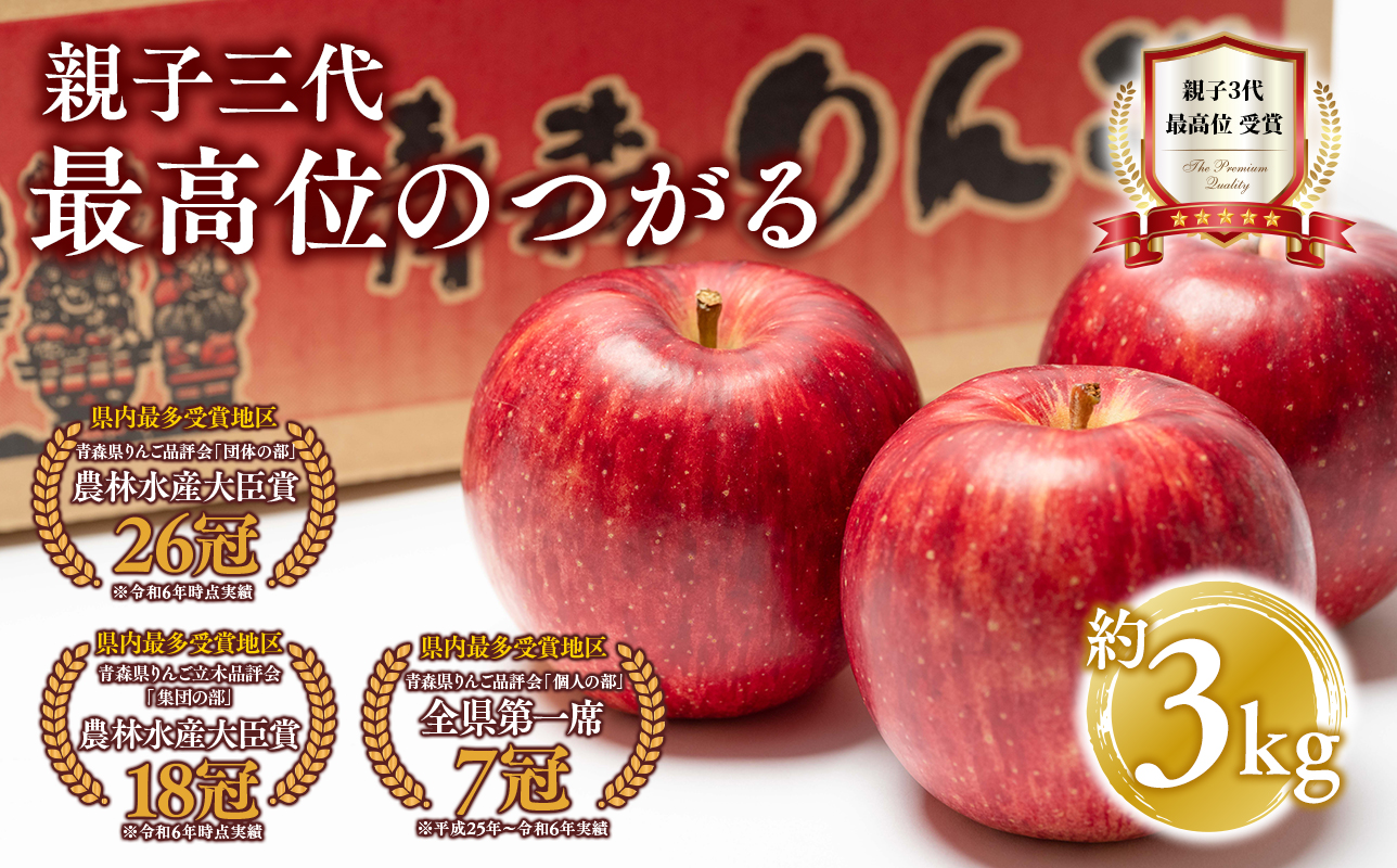 【9月発送】 親子三代最高位のつがる 約3kg【全国ふじコンテスト最高賞受賞農園・平川市広船産りんご】