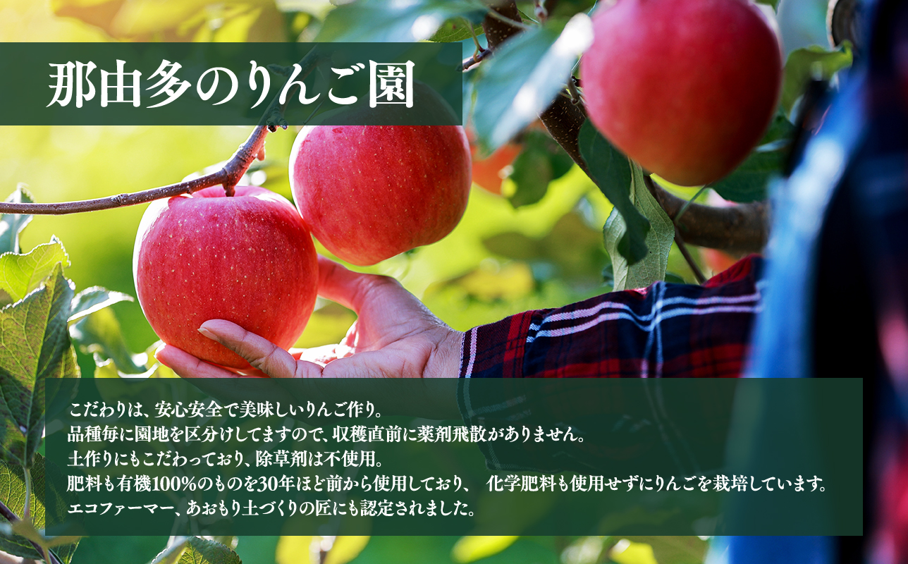 年内発送【訳あり】家庭用 もりのかがやき 約2kg【青森県 平川市 那由多のりんご園】