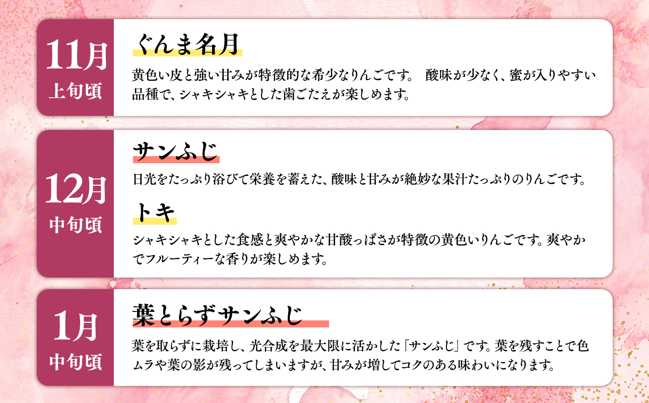 ≪2026年8月下旬頃より発送≫青森県産 贈答用りんご 6か月定期便 約3kg【青森県 平川市 なるみ農園】贈答 贈答規格 青森 青森県産 平川 りんご リンゴ 林檎 くだもの 果物 フルーツ 
