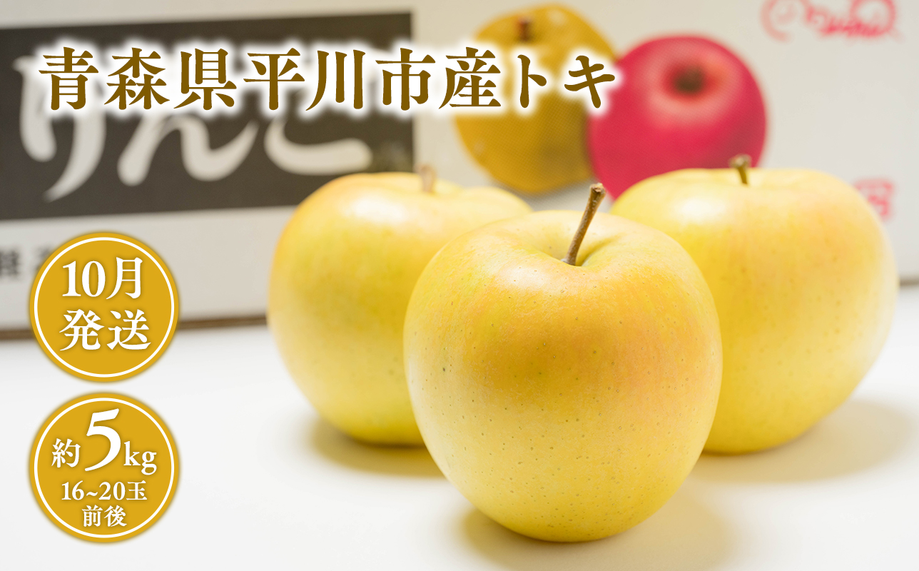 10月 トキ約5kg 【JA津軽みらい・平川市産・青森りんご】