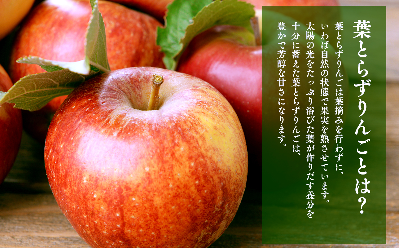 青森県産 訳あり 葉とらず サンふじ  約5kg【青森県 平川市 岩渕農園】 青森 青森県産 平川 りんご リンゴ 林檎 くだもの 果物 フルーツ 