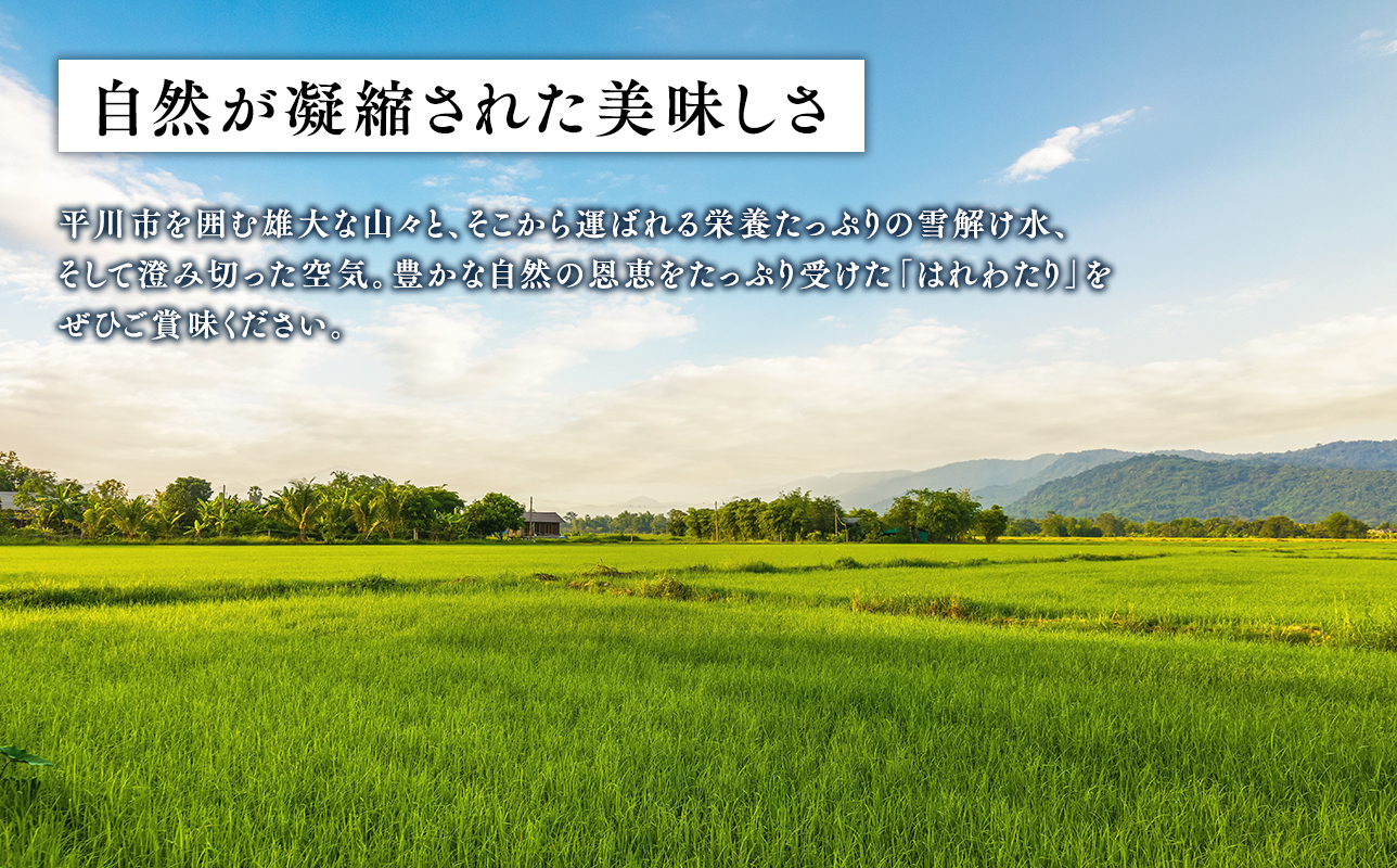 ãå¯ééé¡ãèŠçŽããŸãããâªä»€å8å¹Žç£ å
è¡äºçŽâ«12æäžæ¬ãããå±ã! ã3ã«æå®æäŸ¿ãç¹å¥æ œå¹ç±³ ã¯ããããçœç±³5kgÃ3åã鿣®ç å¹³å·åžãå
è¡äºçŽ ç±³ ãç±³ çç±³ 鿣®çç£ ç£å°çŽé ãã«ãã æã飯 å·ããŠããããã ã飯 ã³ã¡ ãã çœç±³ ãã¯ã ãã©ã³ãç±³ ç¹A ç¹Aç±³ ãåãå¯ã ã°ã«ã¡
