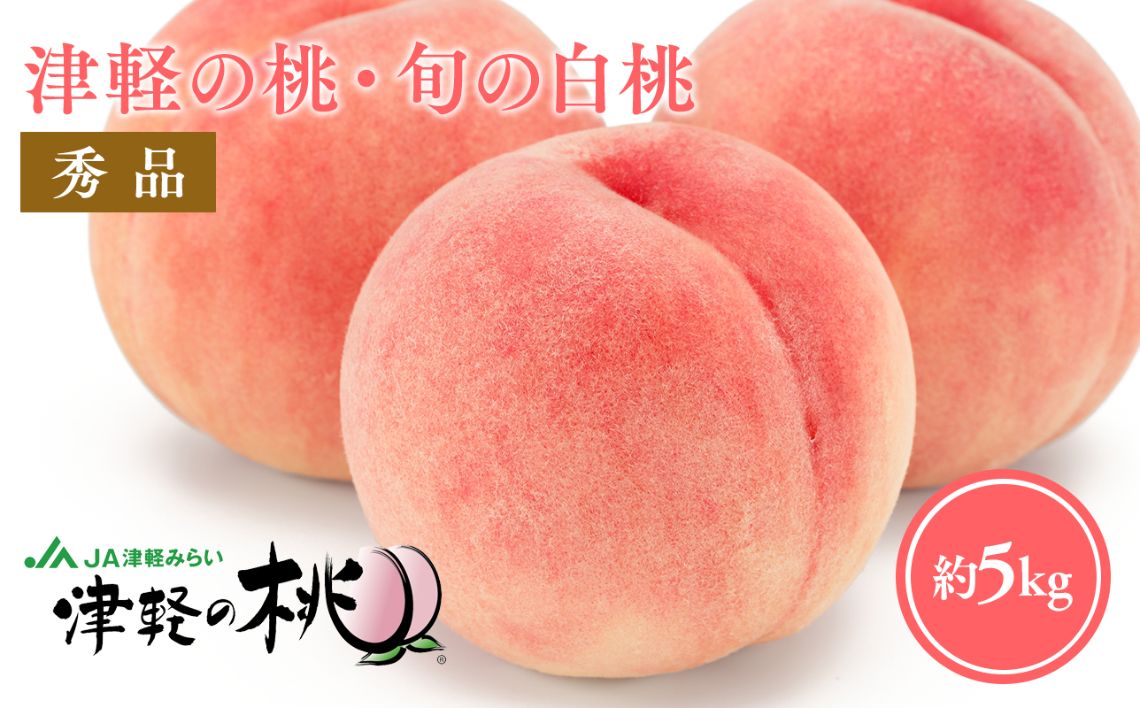 ≪8月中旬～8月下旬発送予定≫津軽の桃 旬の白桃 約5kg 秀品