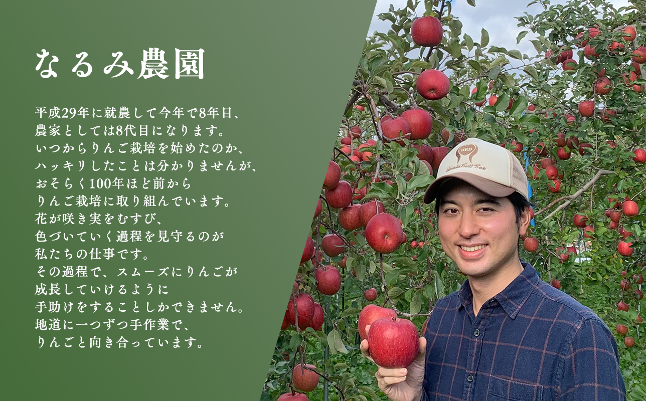 ≪2026年12月中旬頃より発送≫青森県産 訳あり 葉取らずサンふじ 約3kg【青森県 平川市 なるみ農園】家庭用 訳アリ 青森 青森県産 平川 りんご リンゴ 林檎 くだもの 果物 フルーツ 