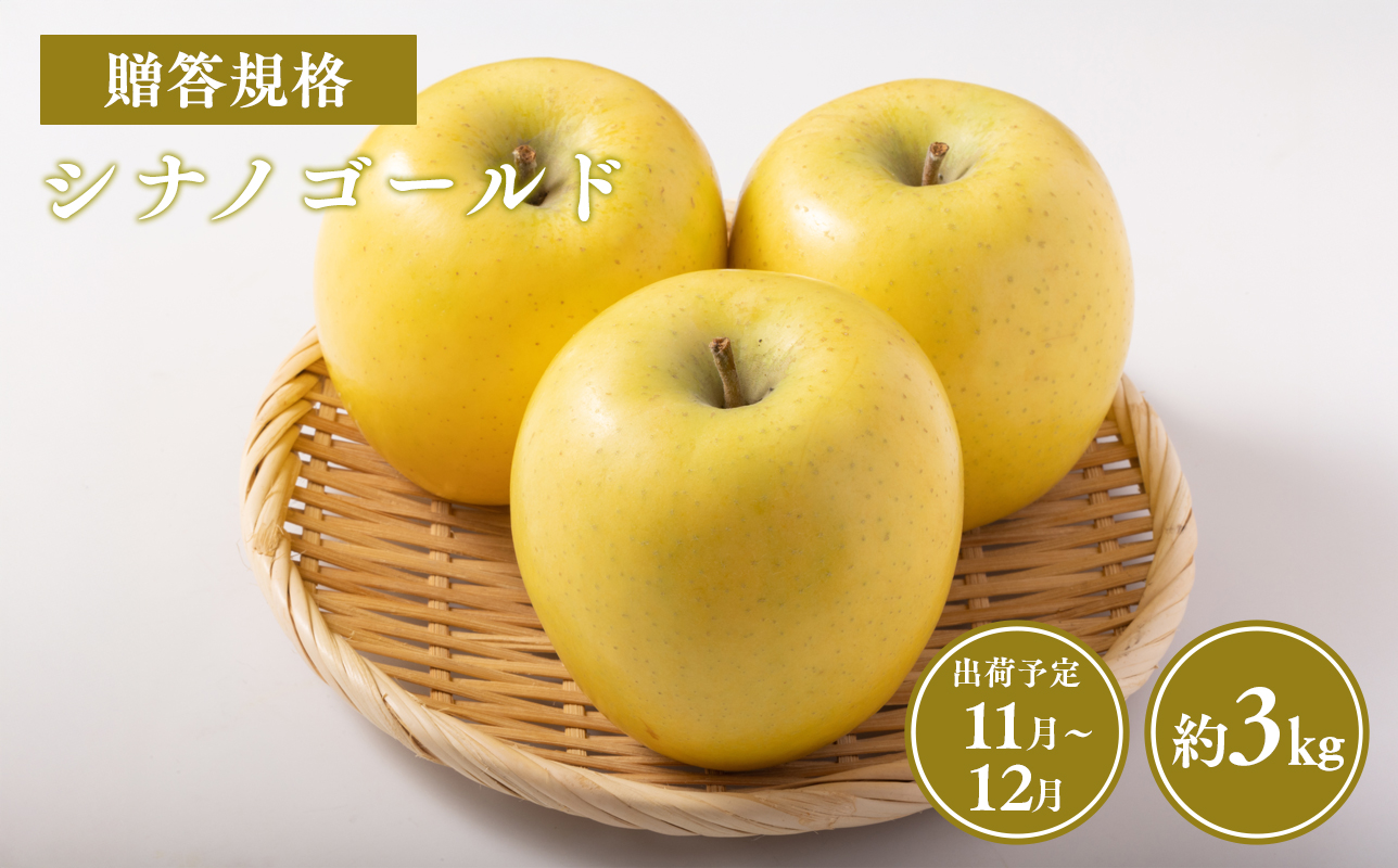 ≪令和8年産先行受付≫贈答用シナノゴールド約3kg【青森県 平川市 山内ファーム】贈答 贈答規格 平川市産 青森りんご りんご リンゴ 林檎 シナノ ゴールド お取り寄せ 先行予約 果物 くだもの フルーツ
