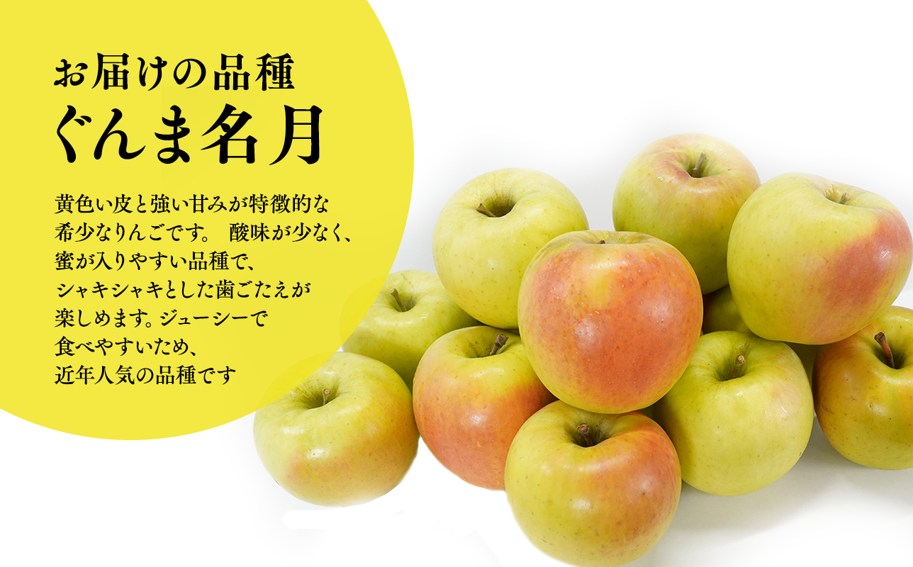 ≪2026年10月下旬頃より発送≫青森県産 訳あり ぐんま名月 約3kg【青森県 平川市 なるみ農園】家庭用 訳アリ 青森 青森県産 平川 りんご リンゴ 林檎 くだもの 果物 フルーツ 
