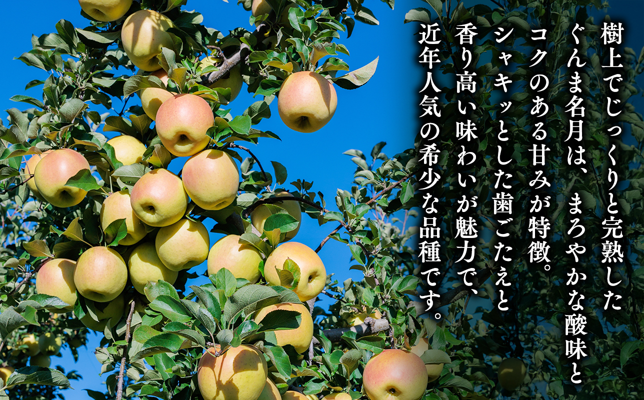 ≪令和8年産先行受付≫家庭用 樹上完熟ぐんま名月約5㎏【青森県 平川市 山内ファーム】家庭用 平川市産 青森りんご りんご リンゴ 林檎 完熟 群馬名月 名月 お取り寄せ 先行予約 果物 くだもの フルーツ 