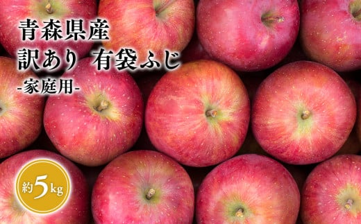 ２０２５年４月〜６月　発送【訳あり】家庭用有袋ふじ約5kg【有袋ふじ・りんご・青森・平川・訳あり・家庭用・原田青果・４月・５月・６月】