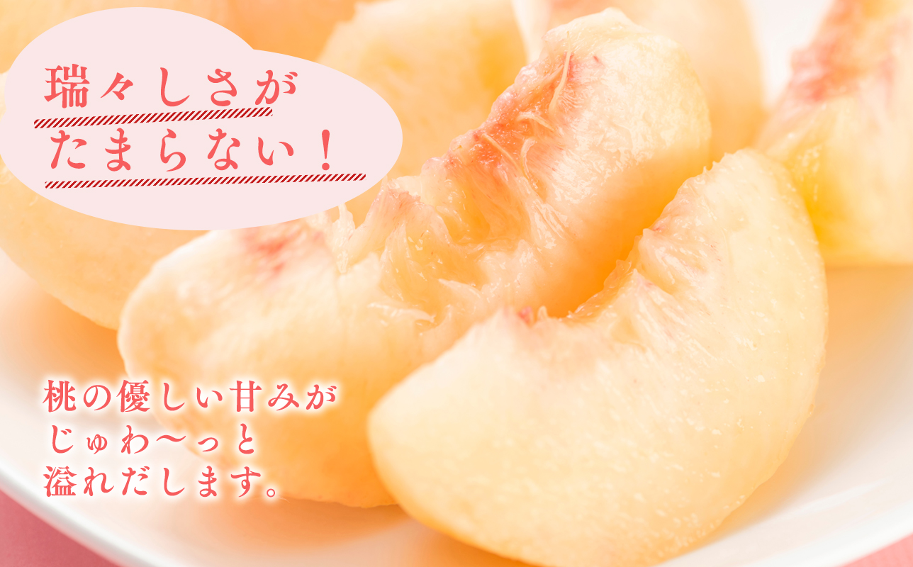 先行予約≪8月～9月発送予定≫  品種お任せ 平川市産 白桃 約3kg 【青森県 平川市 田中農園】フルーツ 果物 桃 もも モモ 白桃 ピーチ はくとう お取り寄せ 先行予約 旬 おまかせ 