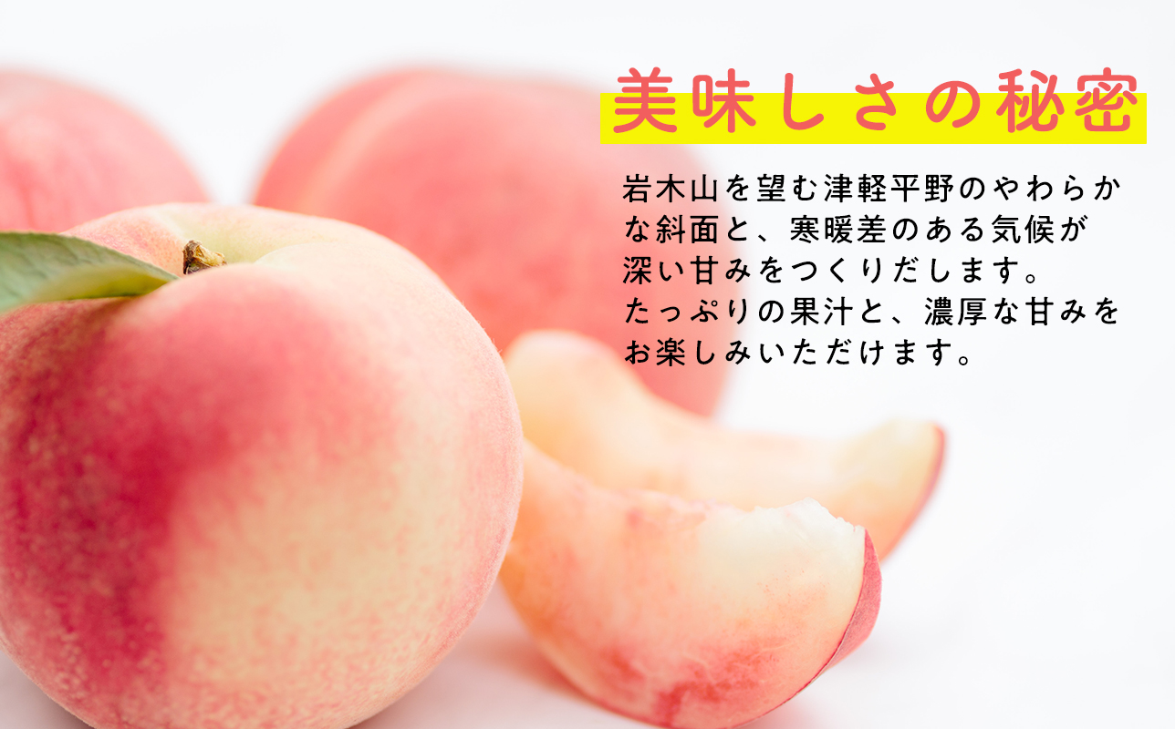 ≪8月下旬～9月中旬発送予定≫ 津軽の桃 川中島白桃 約5kg 秀品