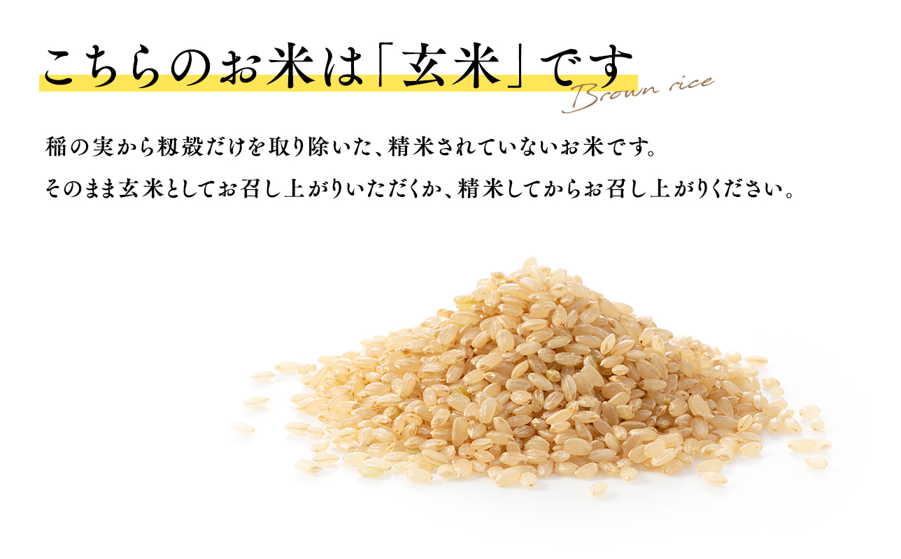 ãå¯ééé¡ãèŠçŽããŸãããâªä»€å8å¹Žç£ å
è¡äºçŽâ«12æäžæ¬ãããå±ã! ã3ã«æå®æäŸ¿ãç¹å¥æ œå¹ç±³ ã¯ããããçç±³10kg(5kgÃ2è¢)Ã3åã鿣®ç å¹³å·åžãå
è¡äºçŽ ç±³ ãç±³ çç±³ 鿣®çç£ ç£å°çŽé ãã«ãã æã飯 å·ããŠããããã ã飯 ã³ã¡ ãã çœç±³ ãã¯ã ãã©ã³ãç±³ ç¹A ç¹Aç±³ ãåãå¯ã ã°ã«ã¡