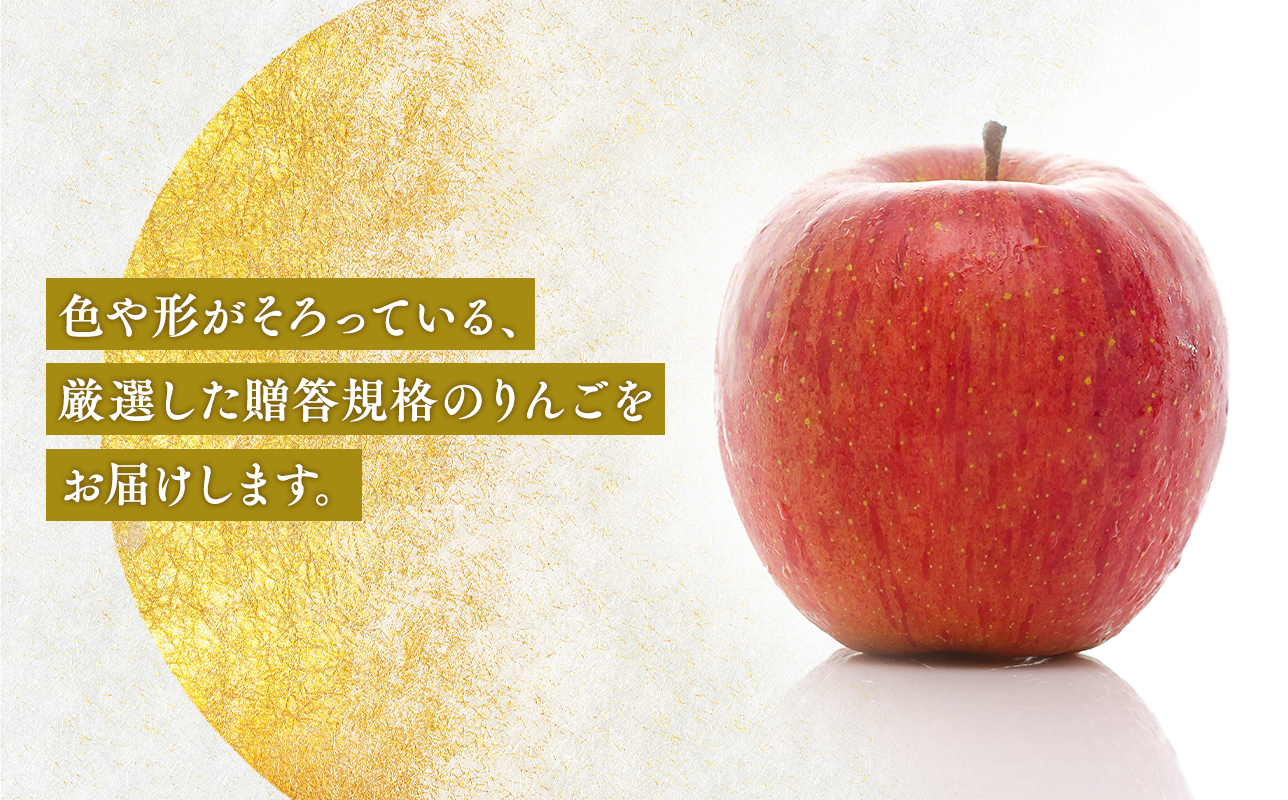 ≪2026年8月下旬頃より発送≫青森県産 贈答用りんご 6か月定期便 約3kg【青森県 平川市 なるみ農園】贈答 贈答規格 青森 青森県産 平川 りんご リンゴ 林檎 くだもの 果物 フルーツ 