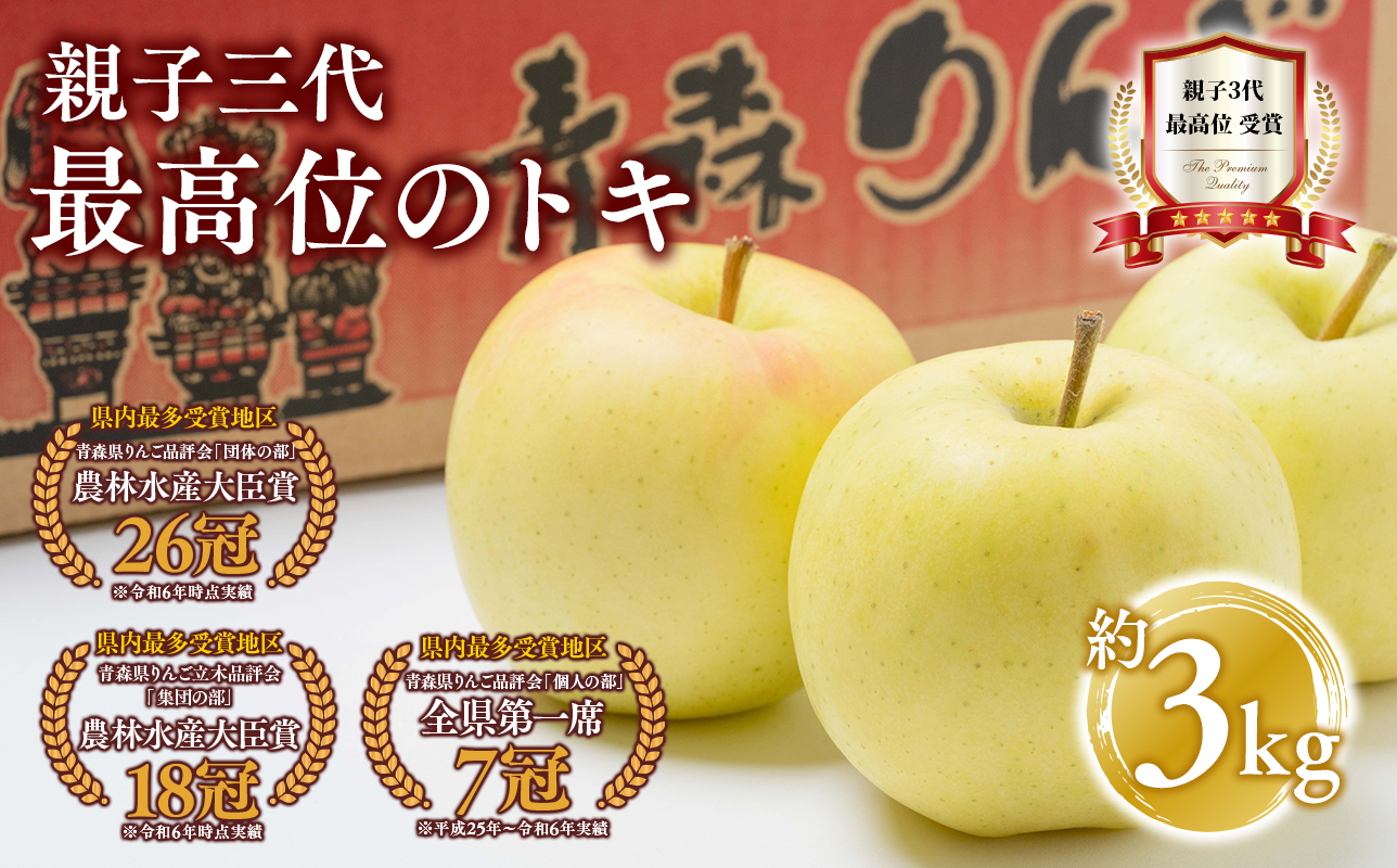 【10月発送】 親子三代最高位のトキ 約3kg【全国ふじコンテスト最高賞受賞農園・平川市広船産りんご】