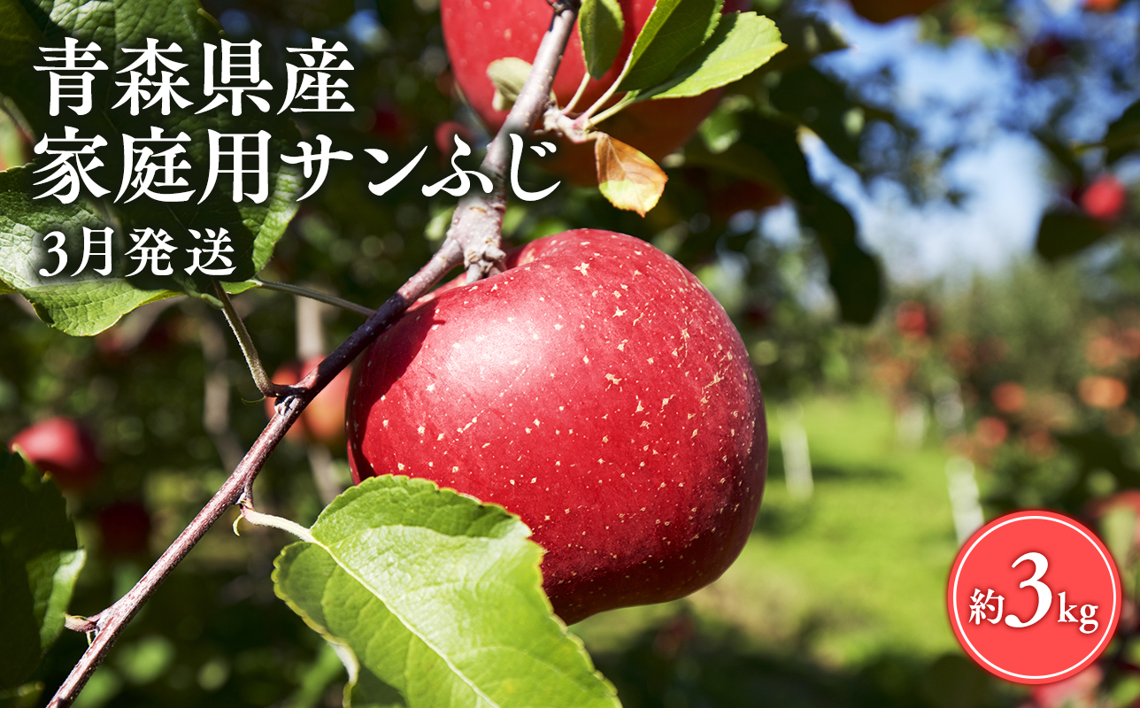 ≪3月発送≫【訳あり】家庭用 サンふじ3kg【青森県 平川市 丸勝木村商店】平川市産 青森りんご りんご リンゴ 林檎 ふじ 訳あり 家庭 わけあり お取り寄せ 先行予約 果物 くだもの フルーツ