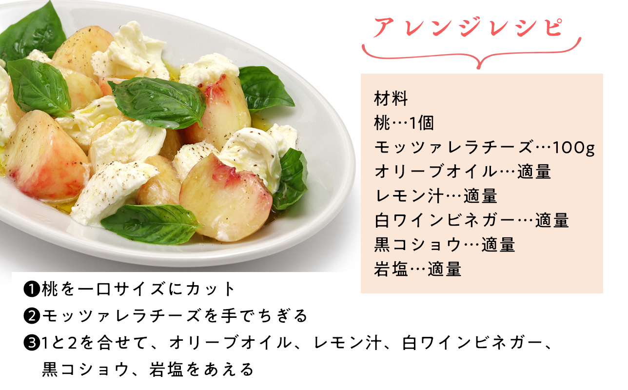 先行予約≪8月～9月発送予定≫  品種お任せ 平川市産 白桃 約3kg 【青森県 平川市 田中農園】フルーツ 果物 桃 もも モモ 白桃 ピーチ はくとう お取り寄せ 先行予約 旬 おまかせ 