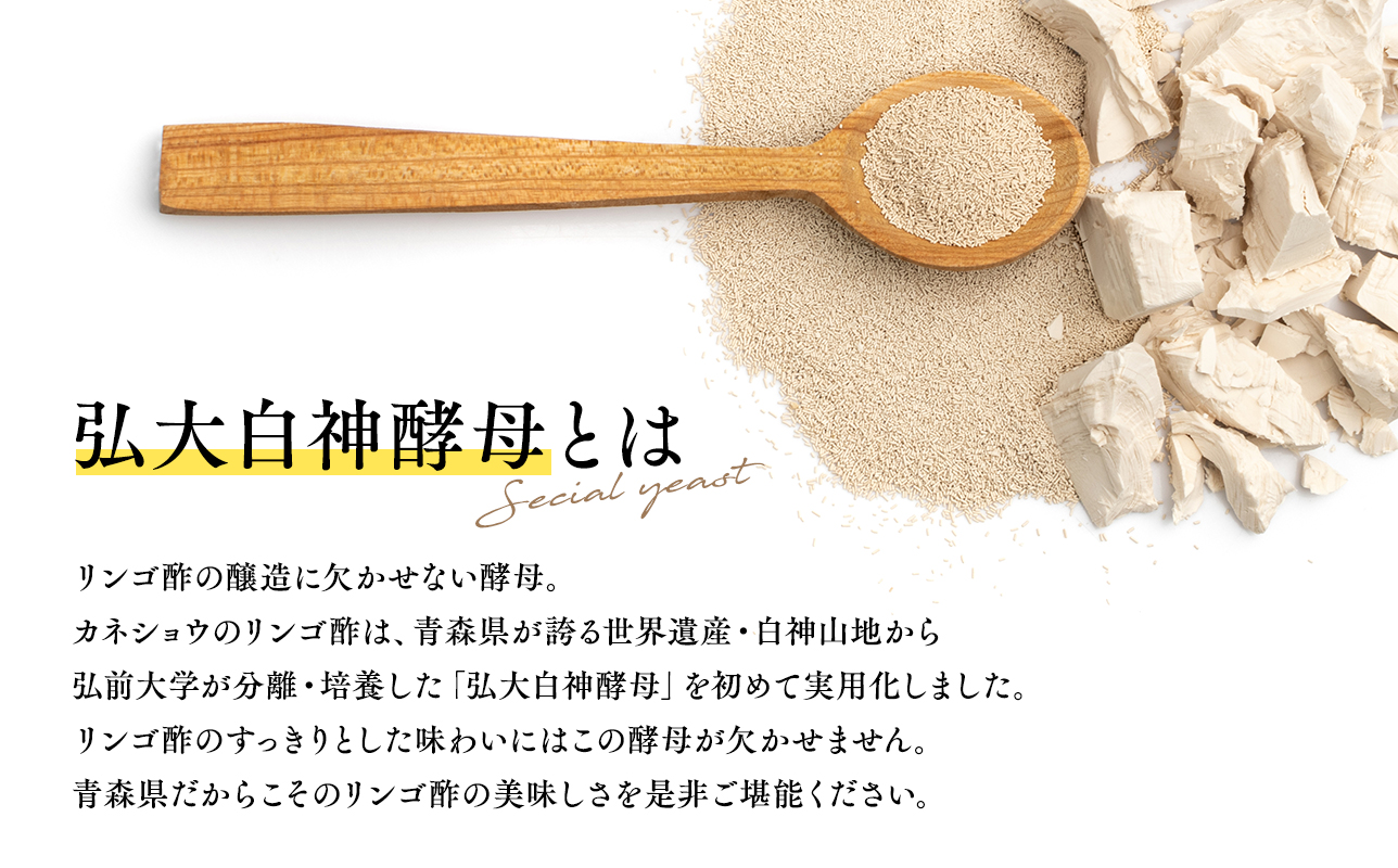 ≪12ヶ月定期便≫ ハチミツ入りリンゴ酢 500ml×1本 