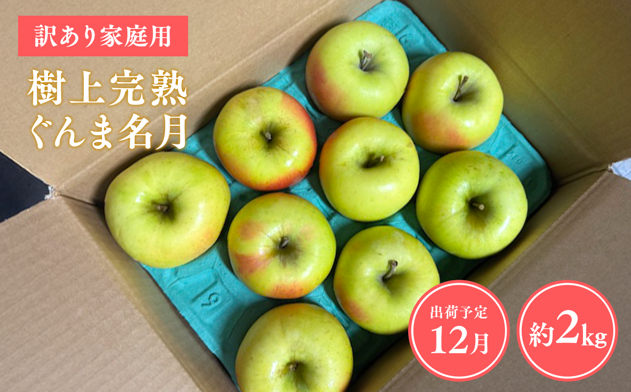 ≪令和8年産先行受付≫家庭用 樹上完熟ぐんま名月約2㎏【青森県 平川市 山内ファーム】家庭用 平川市産 青森りんご りんご リンゴ 林檎 完熟 群馬名月 名月 お取り寄せ 先行予約 果物 くだもの フルーツ