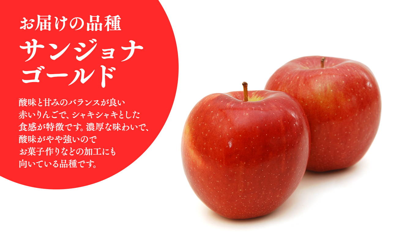 ≪2026年10月中旬頃より発送≫青森県産 訳あり サンジョナゴールド 約3kg【青森県 平川市 なるみ農園】家庭用 訳アリ 青森 青森県産 平川 りんご リンゴ 林檎 くだもの 果物 フルーツ 