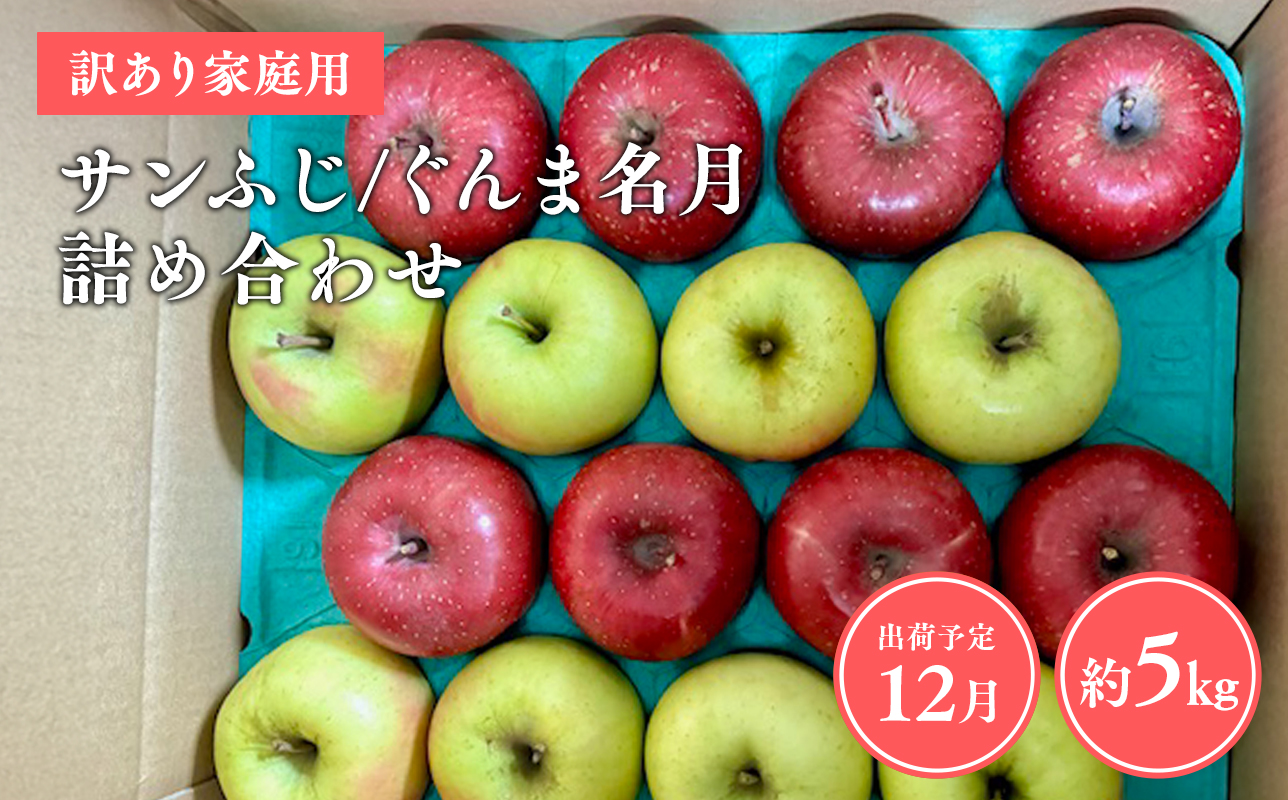 ≪令和8年産先行受付≫家庭用 サンふじ/ぐんま名月 詰め合わせ約5㎏【青森県 平川市 山内ファーム】青森りんご りんご リンゴ 林檎 ふじ サンフジ 群馬名月 お取り寄せ 先行予約 果物 くだもの フルーツ