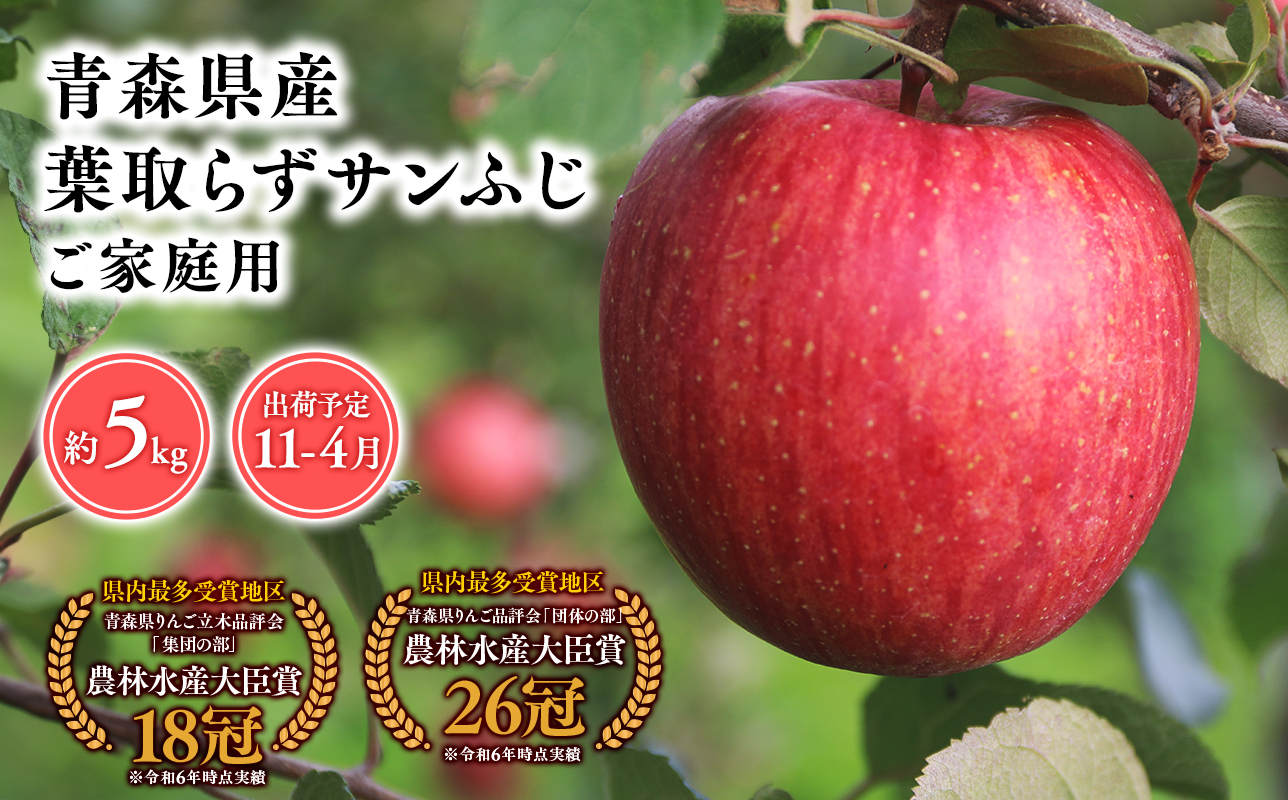 2025年産１１月〜４月発送　【訳あり】家庭用葉とらずサンふじ5ｋｇ　【そと川りんご園・１１月・１２月・１月・２月・３月・４月・青森県産・平川市・りんご・葉とらずサンふじ・5ｋｇ・訳あり・家庭用】