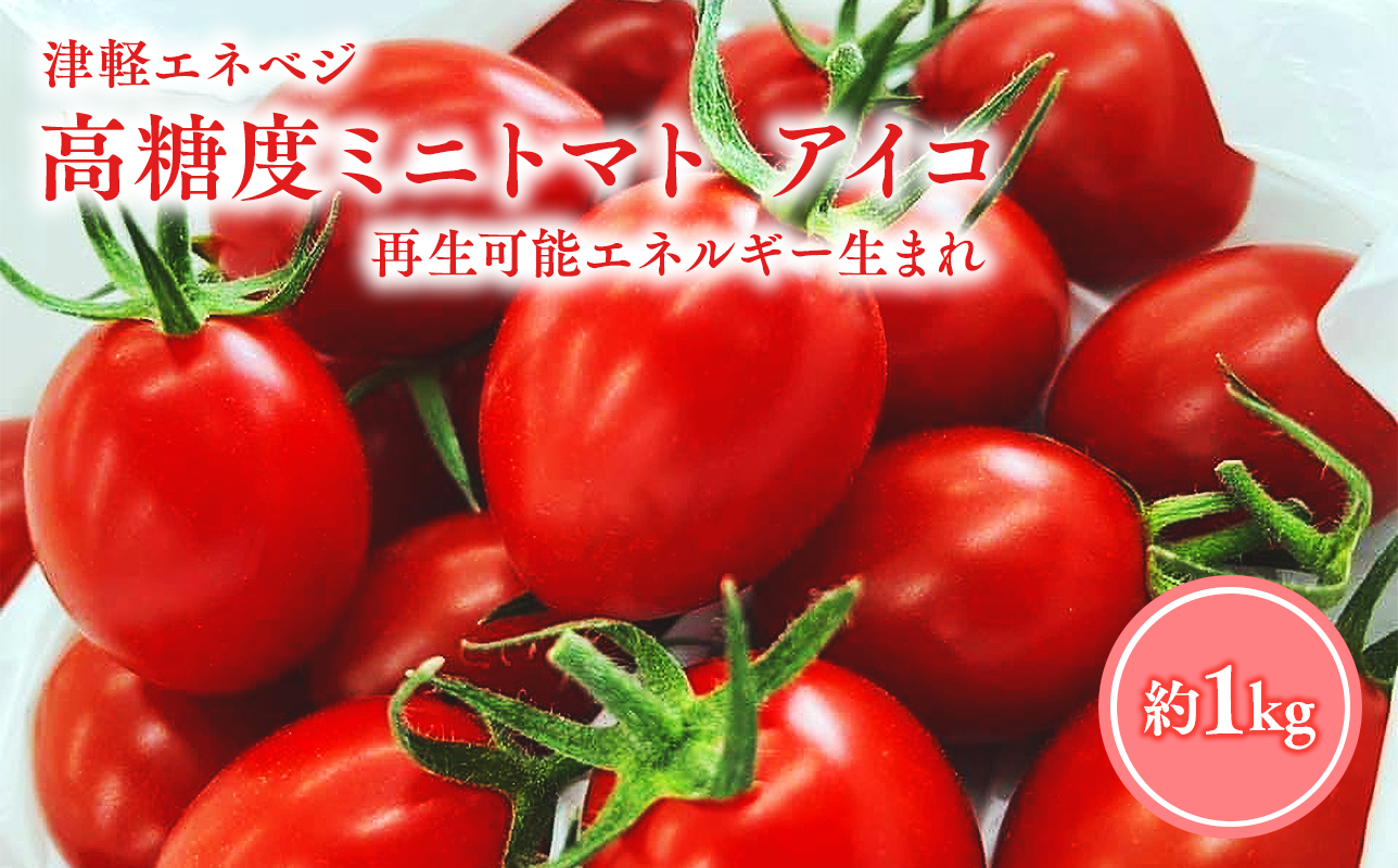 ≪6月以降順次発送≫ 高糖度 ミニトマト [アイコ] 約1kg トマト とまと プチトマト 高品質 野菜 やさい 減農薬 お取り寄せ 青森県 平川市 平川 【hi-0016-003】