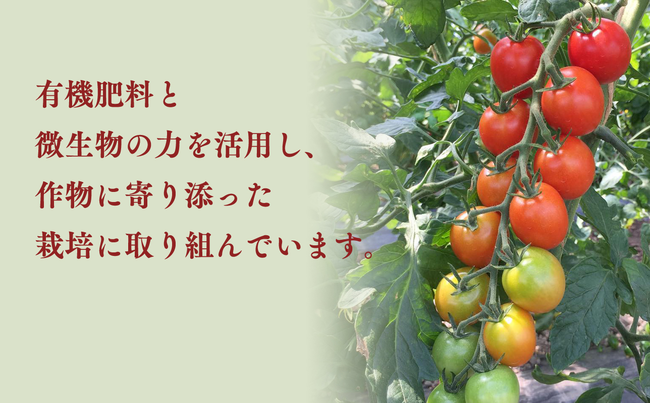 yucarifarmの無添加ミニトマトジュース 1L×6本　【青森県平川市産】
