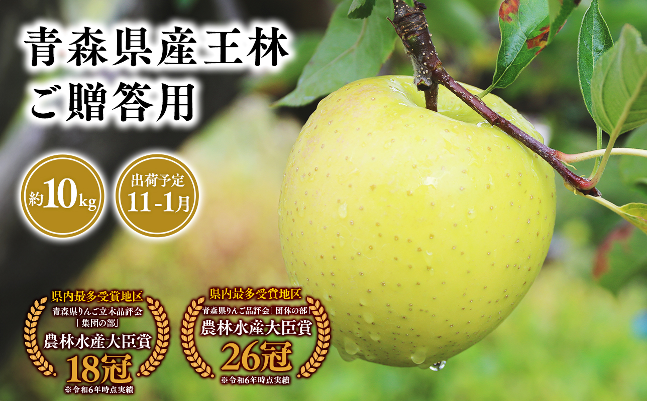 2025年産 １１月〜１月発送　贈答用王林10ｋｇ　【そと川りんご園・１１月・１２月・１月・青森県産・平川市・りんご・王林・10ｋｇ・贈答用】