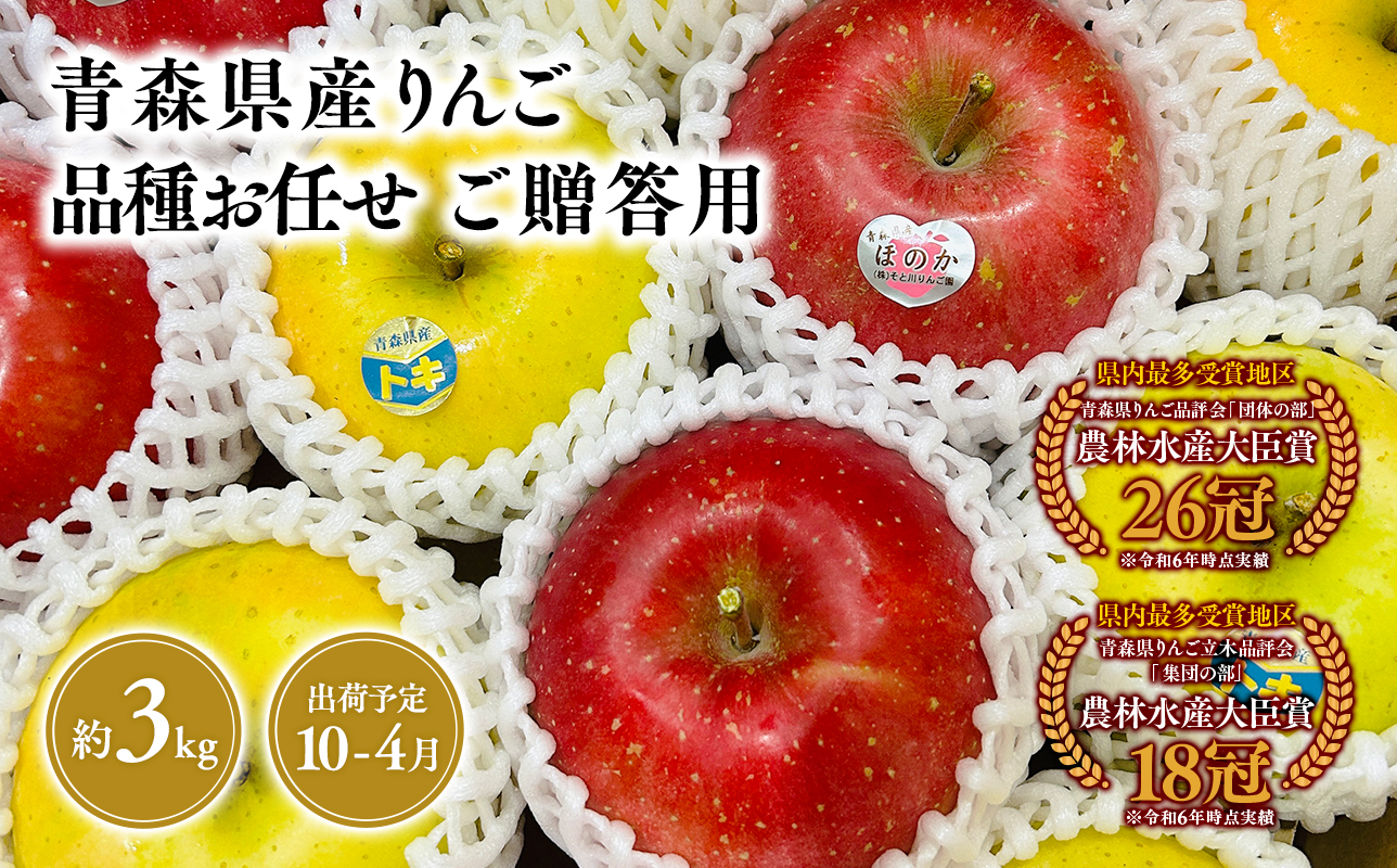 2025年産品種お任せ　贈答用　旬のりんご詰め合わせ3ｋｇ