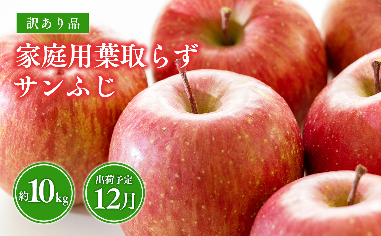 12月 葉取らずサンふじりんご 約10kg訳あり 家庭用【青森県 平川市 森山商店 】
