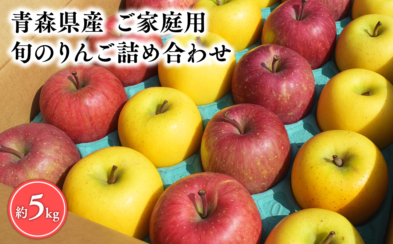 4月発送 【訳あり】旬のりんご詰め合わせ5kg【りんご・青森・平川・訳あり・家庭用・宮川商店・11月・12月・1月・2月・3月・4月】