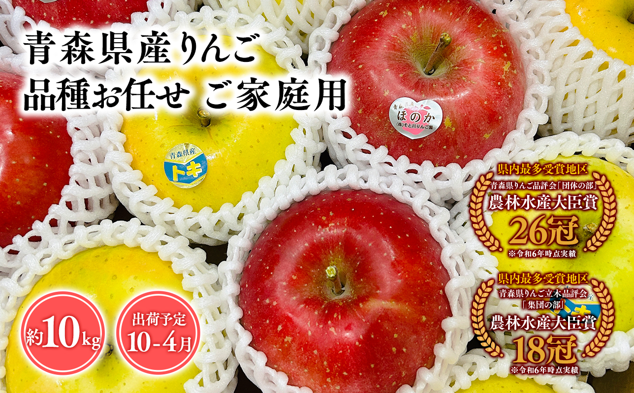 2025年産品種お任せ　【訳あり】家庭用　旬のりんご詰め合わせ10ｋｇ