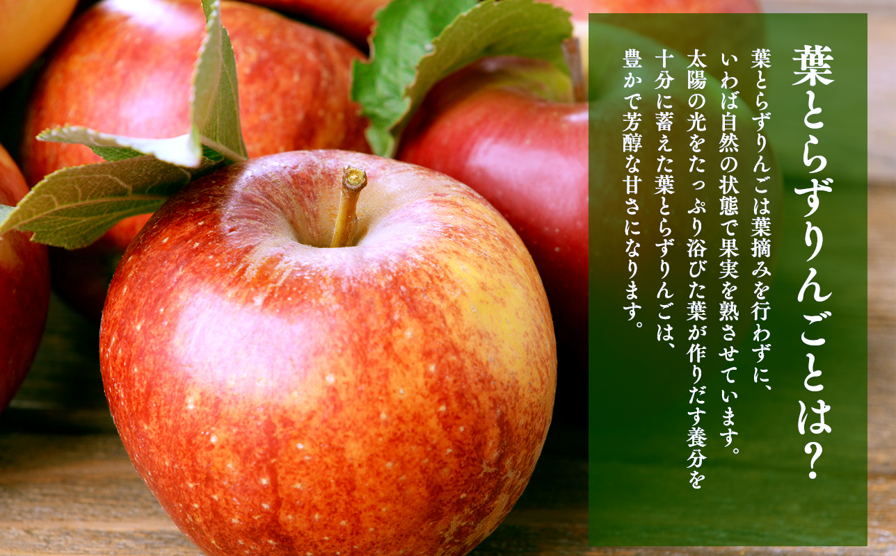 葉とらずりんごジュース  1Lｘ4本＆ピクトグラム柄コースター４枚セット 【青森県 平川市 岩渕農園】