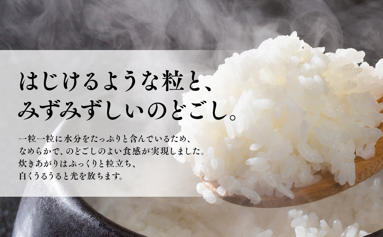 令和7年産 はれわたり5kg