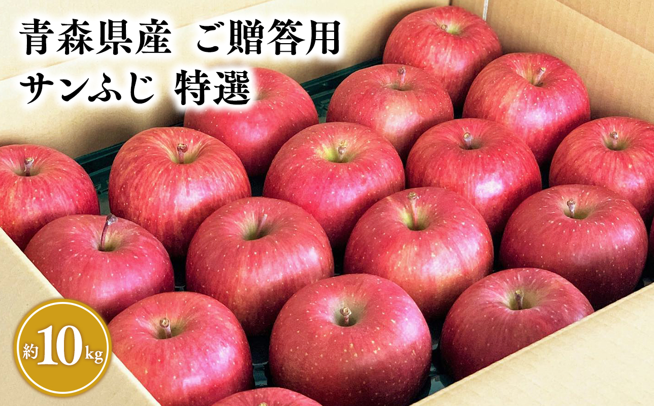 1月発送 【特選】サンふじ10kg【りんご・青森・平川・特選・宮川商店・11月・12月・1月・2月・3月・4月】