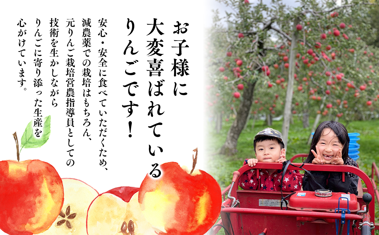 ≪令和8年産先行受付≫家庭用 樹上完熟ぐんま名月約3㎏【青森県 平川市 山内ファーム】家庭用 平川市産 青森りんご りんご リンゴ 林檎 完熟 群馬名月 名月 お取り寄せ 先行予約 果物 くだもの フルーツ 