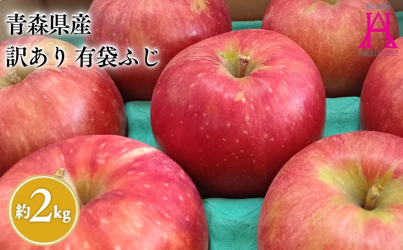6月 クール便発送【訳あり】家庭用有袋ふじ約2kg