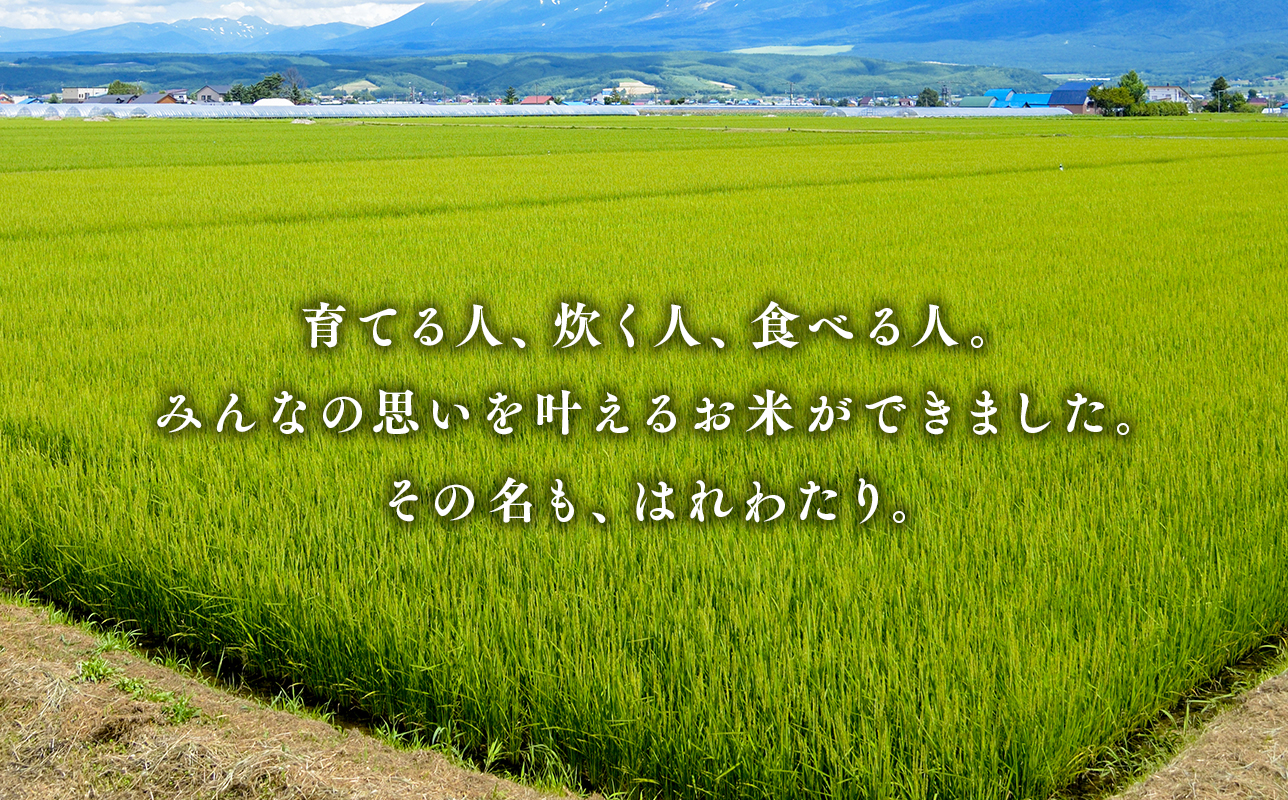 令和7年産 はれわたり10kg