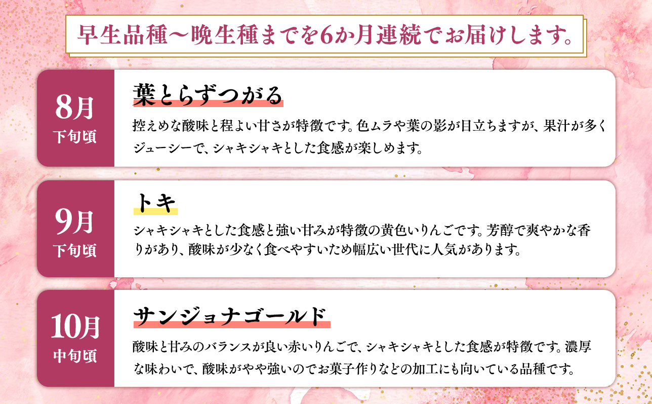 ≪2026年8月下旬頃より発送≫青森県産 贈答用りんご 6か月定期便 約3kg【青森県 平川市 なるみ農園】贈答 贈答規格 青森 青森県産 平川 りんご リンゴ 林檎 くだもの 果物 フルーツ 