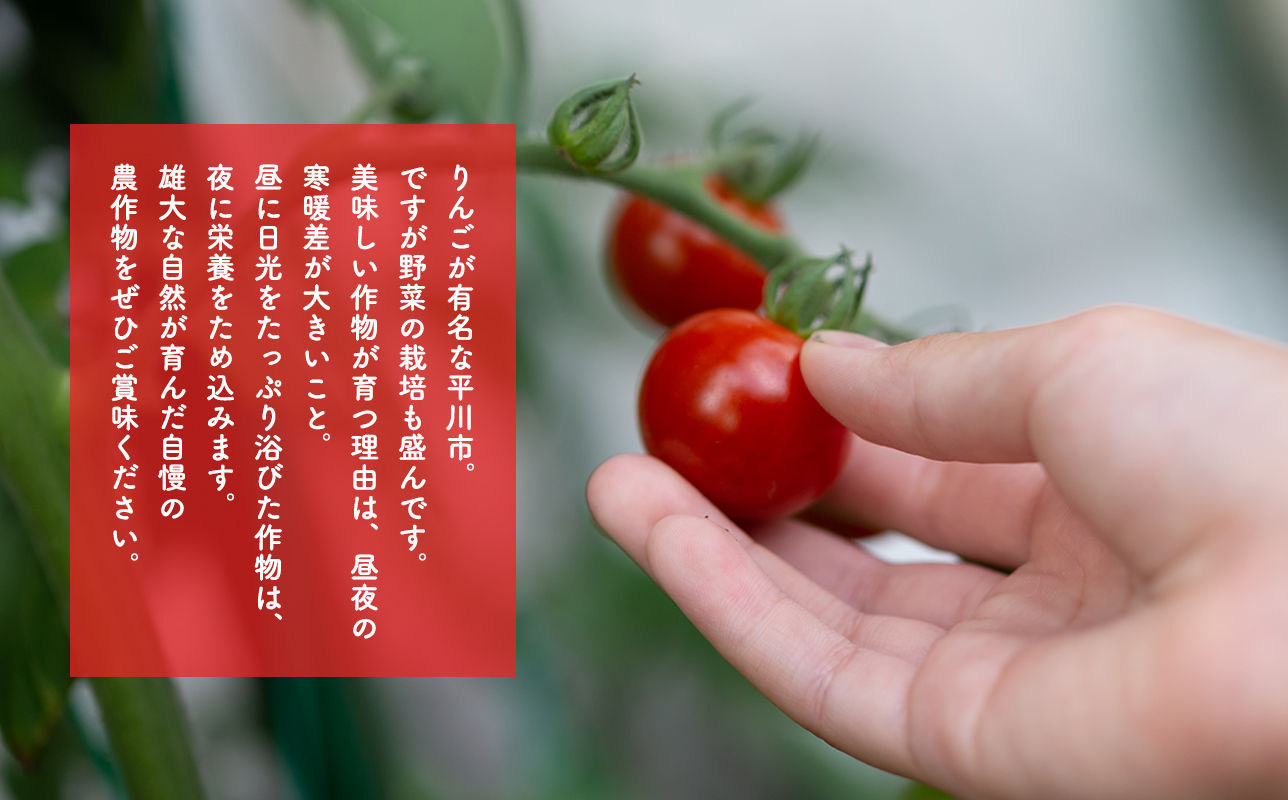 yucarifarmの無添加ミニトマトジュース 1L×6本　【青森県平川市産】