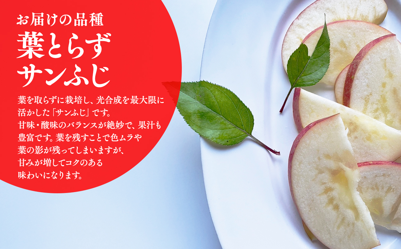 ≪2026年12月中旬頃より発送≫青森県産 訳あり 葉取らずサンふじ 約3kg【青森県 平川市 なるみ農園】家庭用 訳アリ 青森 青森県産 平川 りんご リンゴ 林檎 くだもの 果物 フルーツ 