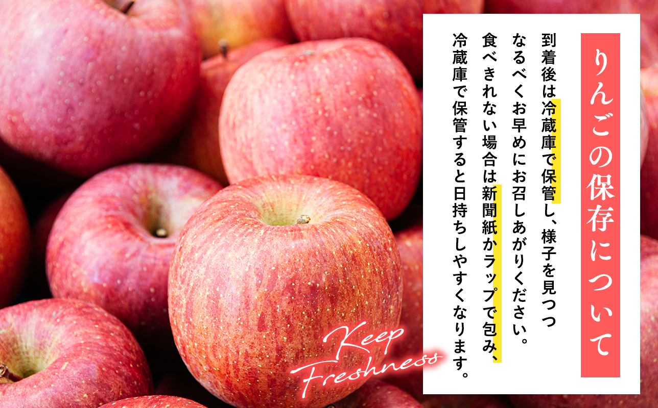 3月 葉取らずサンふじ 約10kg 訳あり 家庭用【青森県 平川市 森山商店 】