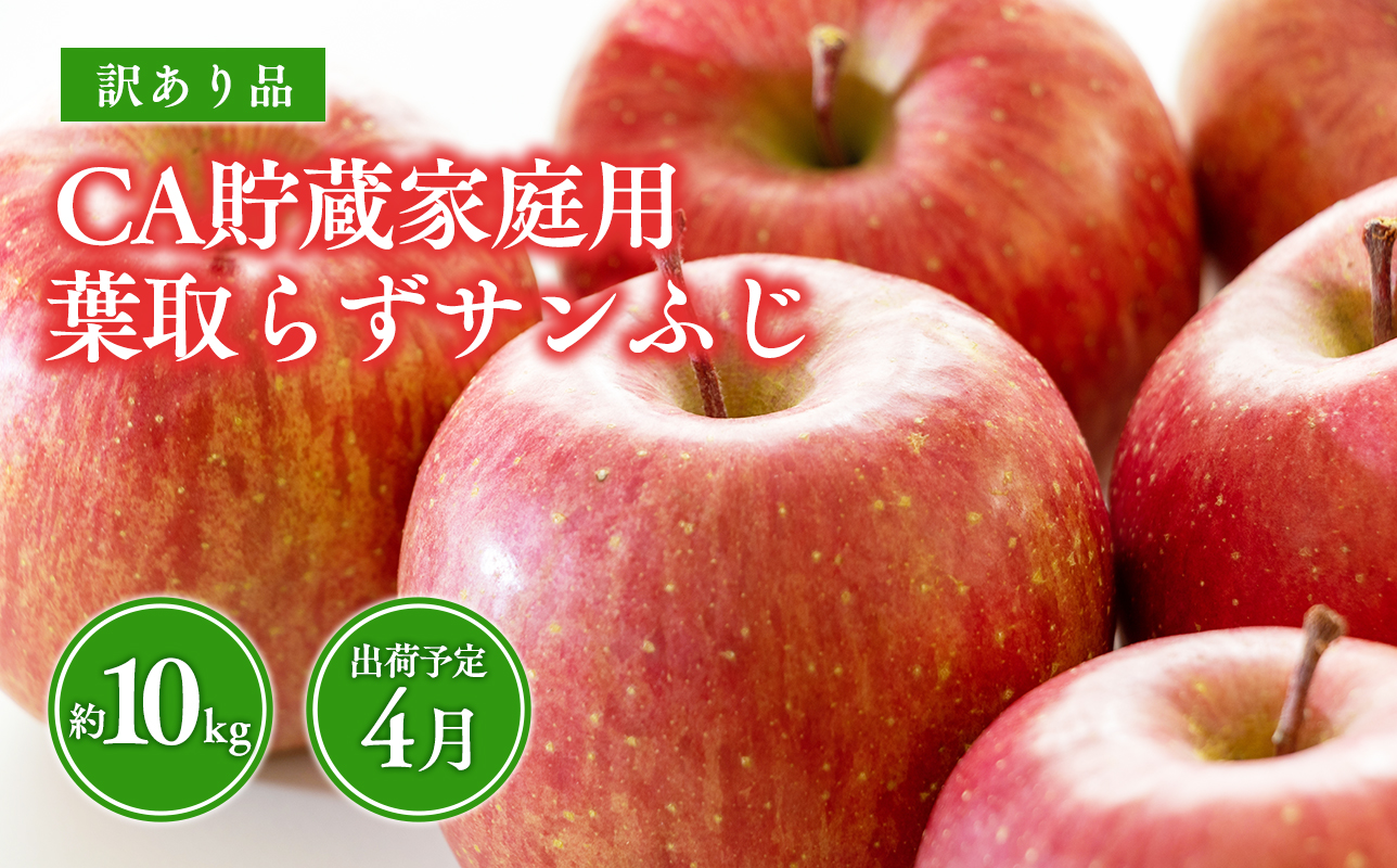4月CA貯蔵 家庭用 葉とらずサンふじ 約10kg 訳あり 家庭用【青森県 平川市 森山商店 】