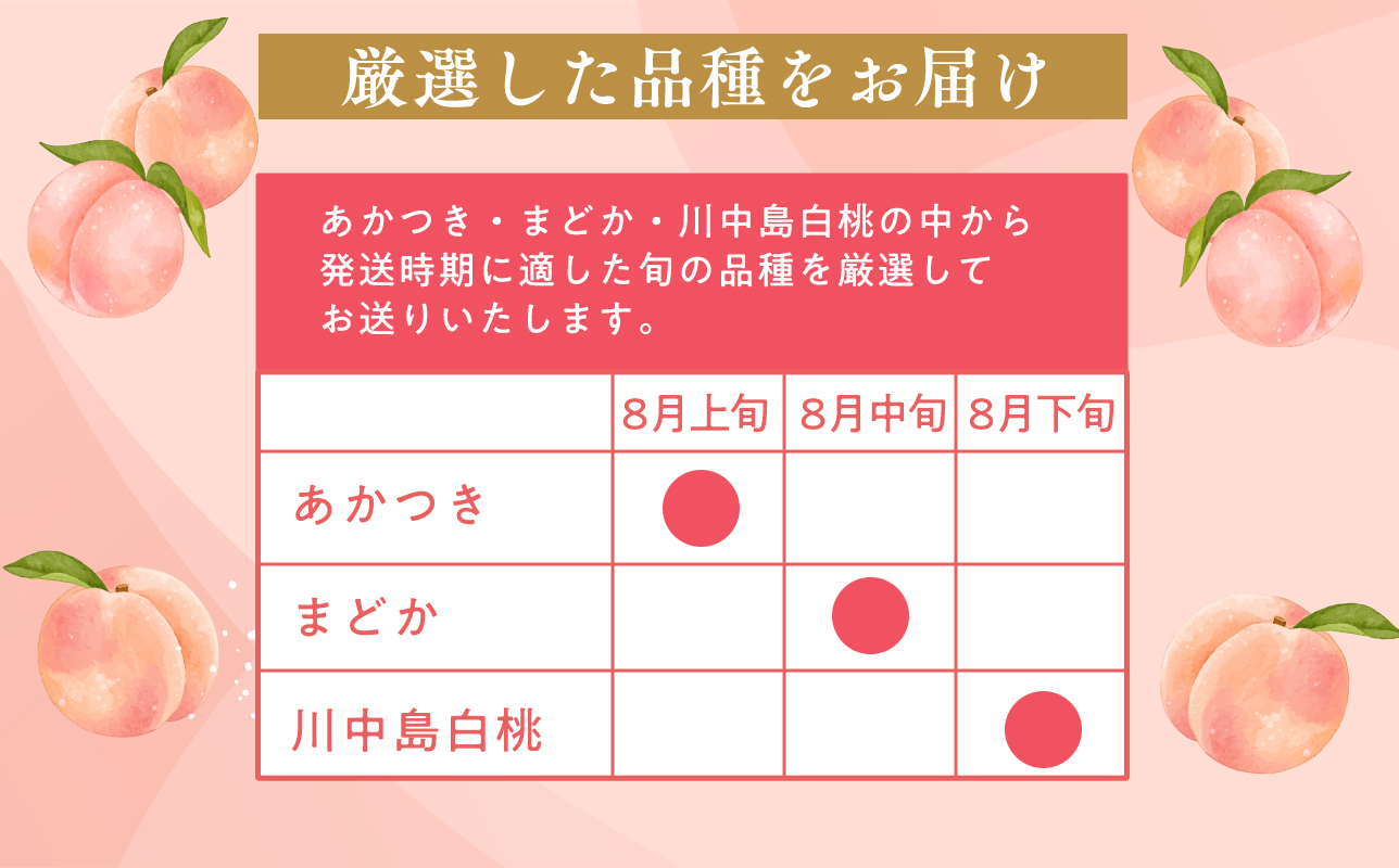 先行予約≪8月～9月発送予定≫  品種お任せ 平川市産 白桃 約3kg 【青森県 平川市 田中農園】フルーツ 果物 桃 もも モモ 白桃 ピーチ はくとう お取り寄せ 先行予約 旬 おまかせ 
