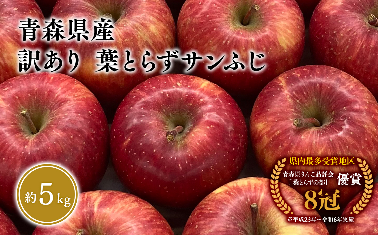 1〜3月 訳あり 葉とらず サンふじ 家庭用 約5kg 【岩渕農園・平川市産・青森りんご・1月・2月・3月】