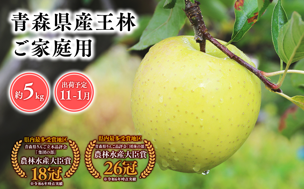 2025年産 １１月〜１月発送　【訳あり】家庭用王林5ｋｇ　【そと川りんご園・１１月・１２月・１月・青森県産・平川市・りんご・王林・5ｋｇ・訳あり・家庭用】