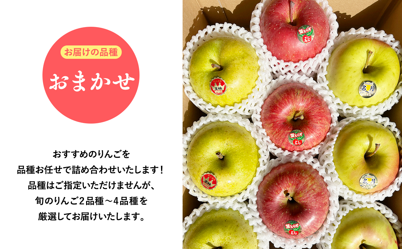 2025年産品種お任せ　【訳あり】家庭用　旬のりんご詰め合わせ3ｋｇ